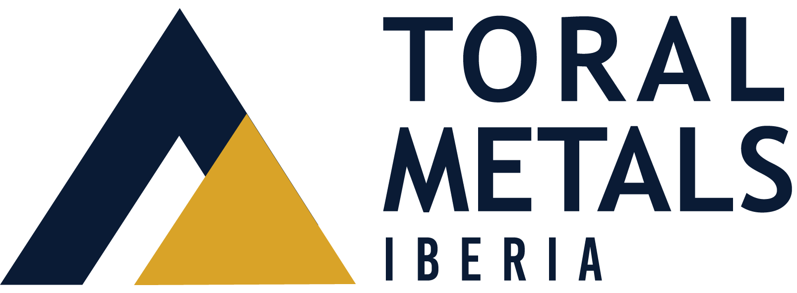 Toral Project Logo